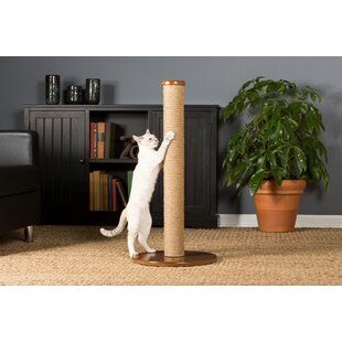 Designer scratching outlet post